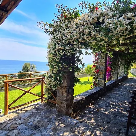 Apartment Le Cannicelle *